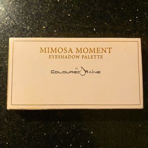 Mimosa Moment Eye Shadow Pallet